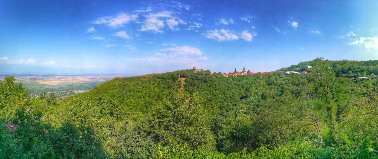 Favourite Apartment Sighnaghi Bagian luar foto
