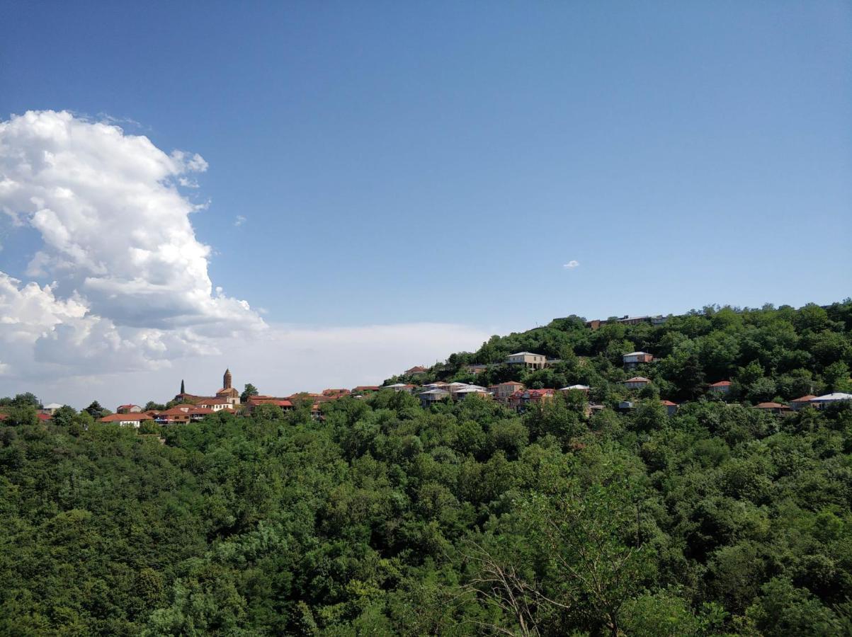 Favourite Apartment Sighnaghi Bagian luar foto